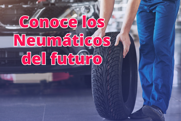 Neumáticos