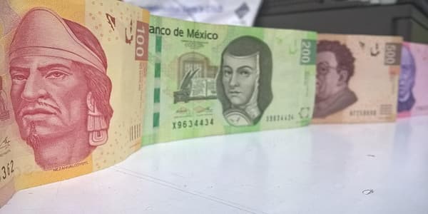 Ventajas de usar el Autoplaza