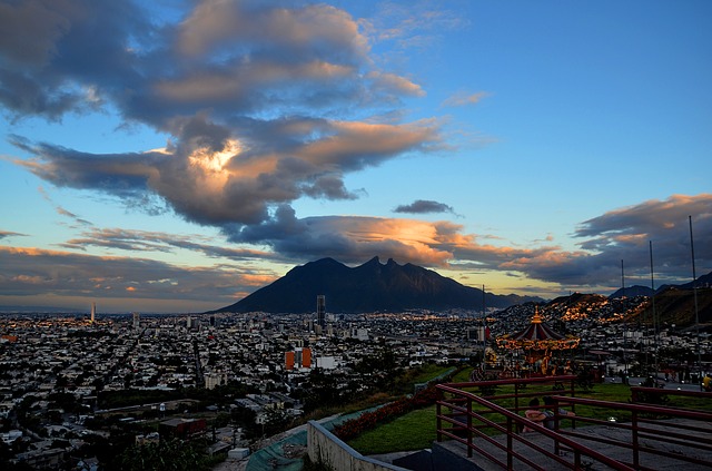 Licencia de Conducir Monterrey