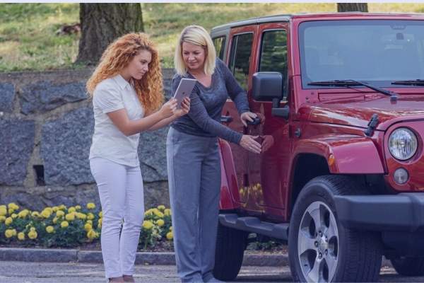 seguro basico de auto estandarizado