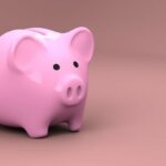 fondo de ahorro