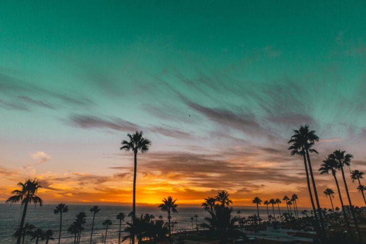 cambio de propietario Baja California
