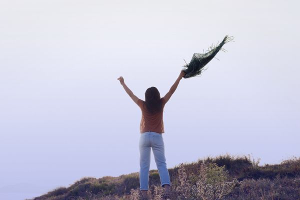 trámites vehiculares edomex