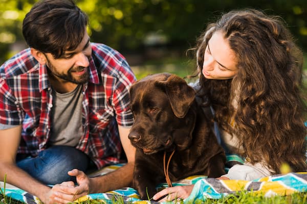 enfermedades que transmiten los perros a los humanos