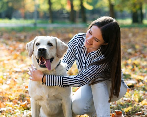 enfermedades que transmiten los perros a los humanos