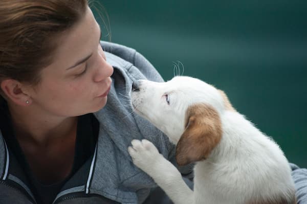 enfermedades de animales a humanos