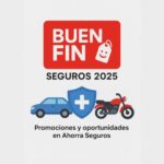 buen fin 2025