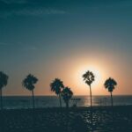 cambio de propietario Baja California Sur