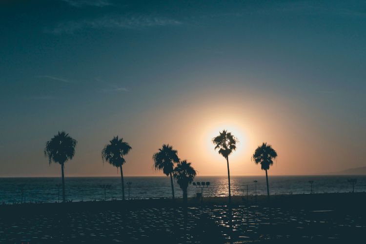 cambio de propietario Baja California Sur