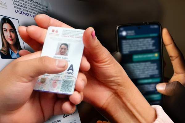 licencia de conducir permanente gratis