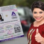 licencia de conducir permanente gratis