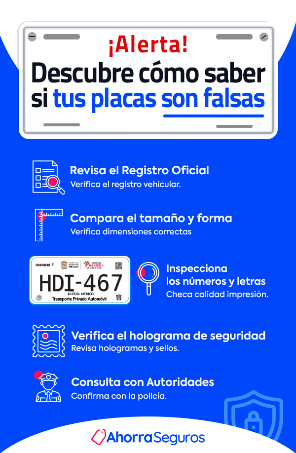 infografia-placas falsas