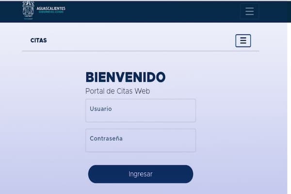 licencia de conducir Aguascalientes