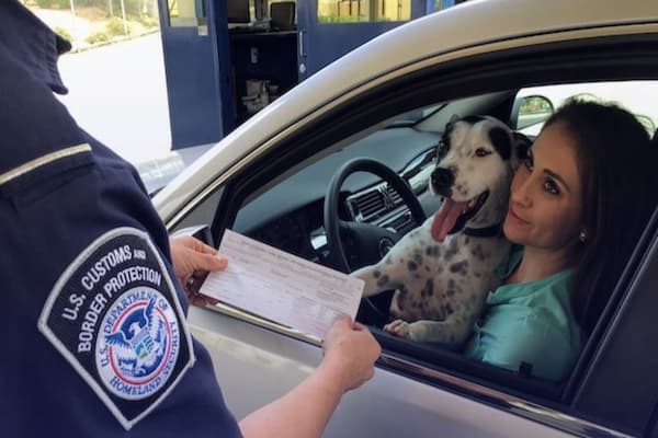 seguros para autos americanos