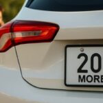 placas Morelos