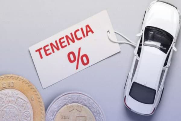 tenencia guerrero