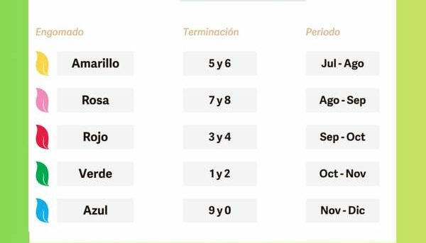Calendario Verificación Vehicular Puebla segundo semestre