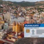 licencia de conducir Guanajuato