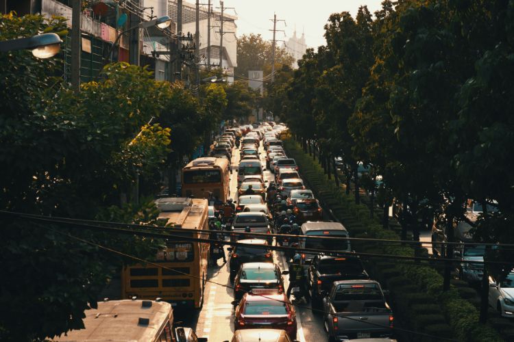 padrón vehicular