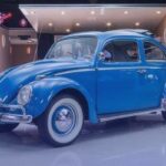 volkswagen vocho
