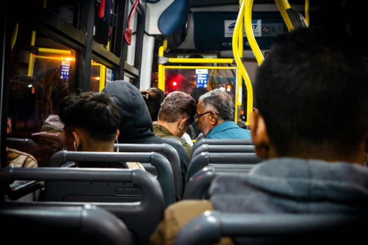 seguros para transporte público