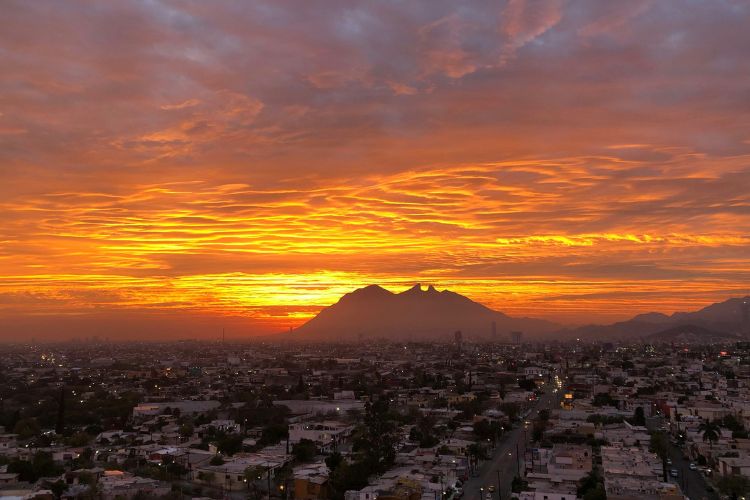 Tenencia Nuevo León