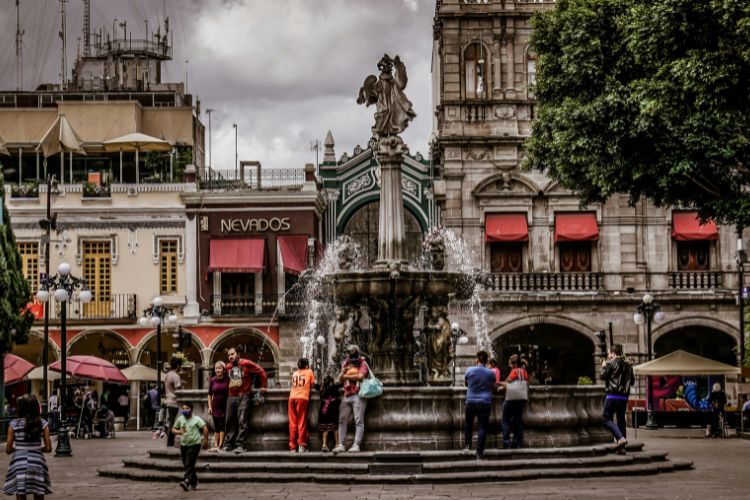 licencia digital Puebla