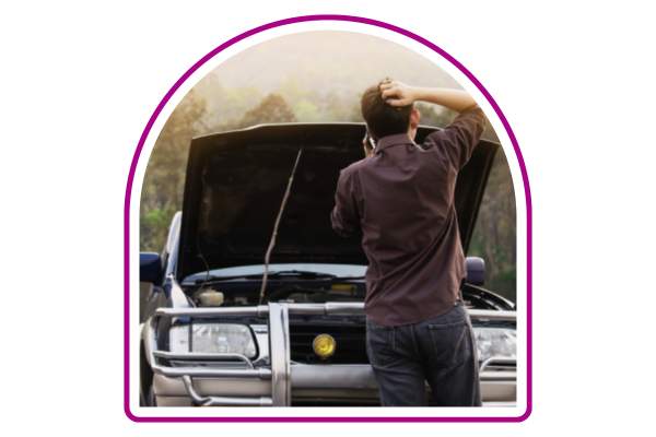 quálitas puerto vallarta