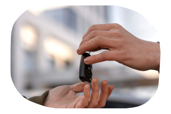 Seguros para Renta de Autos