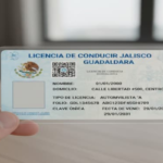 Licencia de Conducir Guadalajara