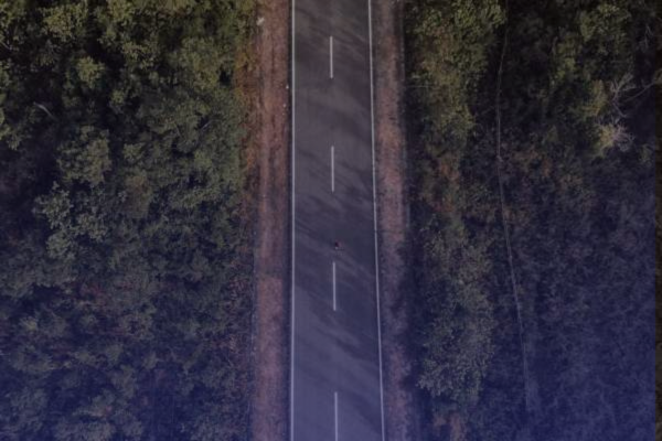 tramite-tarjeta-de-circulacion-jalisco