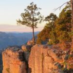 licencia-de-conducir-chihuahua