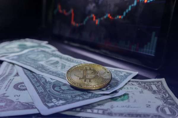 Cómo funciona una criptomoneda