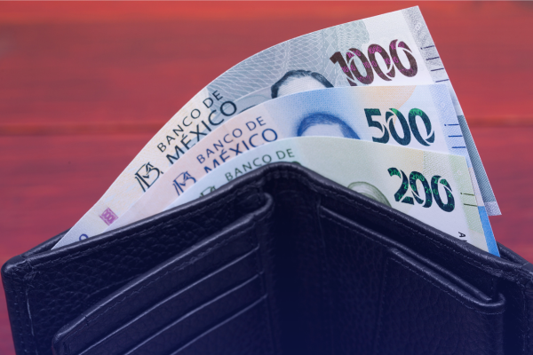 Costos placas baja california