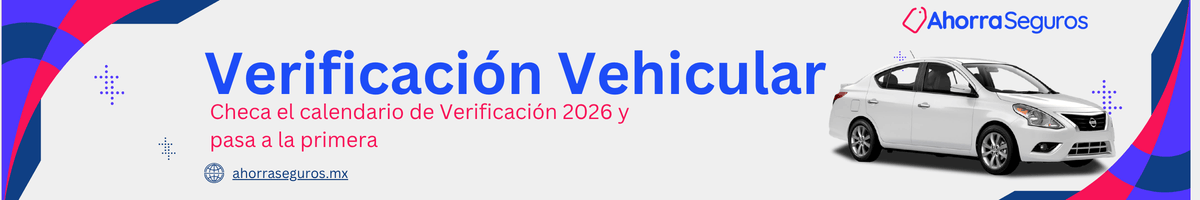 Verificación Vehicular