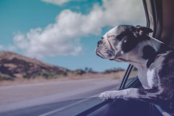 Cuáles son los autos más seguros en México