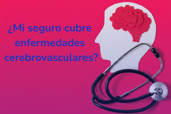 Enfermedades Cerebrovasculares