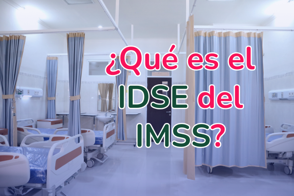 IDSE