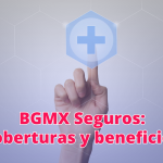 cotiza BGMX Seguros