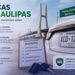 placas tamaulipas