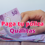 pago póliza quálitas